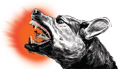 ஜம்மு - காஷ்மீரில் 2 ஆண்டுகளில் 2 லட்சம் நாய்க்கடி சம்பவங்கள்! - சுகாதார அமைச்சகம் தகவல்! 