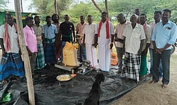 தற்காலிக நெல் கொள்முதல் நிலையம் திறப்பு