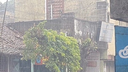 நாகை மாவட்டத்தில் பரவலாக மழை