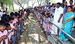 சாத்தனூா் கல்மரப் பூங்காவில் அடிப்படை வசதிகள்! அமைச்சா் உறுதி!