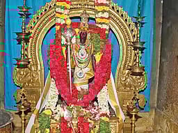 அழகு என்ற சொல்லுக்கு...