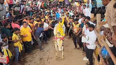 வள்ளிப்பட்டில் எருது விடும் விழாவில் சீறிப்பாய்ந்து ஓடிய காளைகள்