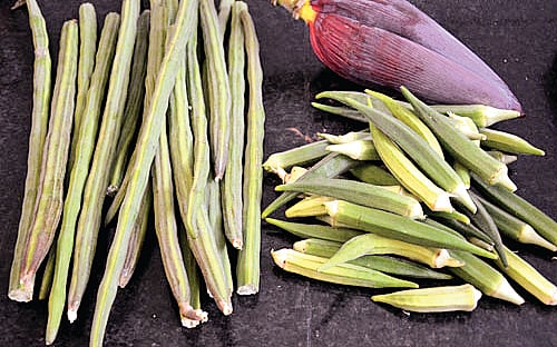 பிஞ்சுக் காய்கள் | Tender vegetables