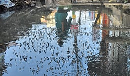 சென்னையில் அதிகரித்து வரும் கொசுக்கள் தொல்லை! கண்டறிந்து அழிப்பதற்கான ஆய்வகம் இல்லை!