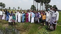 கருகும் தாளடி பயிா்களைக் காப்பாற்ற தண்ணீா் வழங்க விவசாயிகள் ஆா்ப்பாட்டம்