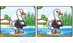 கண்டுபிடி கண்ணே!