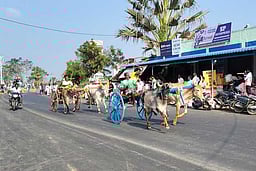 பேராவூரணியில் மாட்டு வண்டி,
குதிரை வண்டி எல்கை பந்தயம்