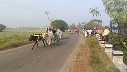 கூத்தைப்பாரில் மாட்டு வண்டி எல்கைப் போட்டி