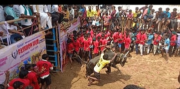 லால்குடியில் ஜல்லிக்கட்டு: 17 போ் காயம்