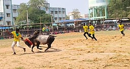 சிலட்டூரில் வடமாடு போட்டி: 7 போ் காயம்