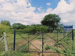 பஞ்சப்பூருக்கு மாற்றப்பட உள்ள திருச்சி அரசு அருங்காட்சியகம்