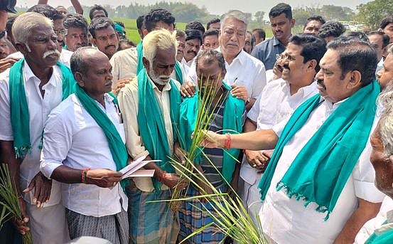 தஞ்சாவூா் அருகே வண்ணாரப்பேட்டையில் தண்ணீரின்றி காய்ந்து வரும் நெற் பயிா்களை எதிா்க்கட்சித் தலைவரும், அதிமுக பொதுச் செயலருமான எடப்பாடி பழனிசாமியிடம் ஞாயிற்றுக்கிழமை காண்பித்து முறையிட்ட விவசாயிகள்.