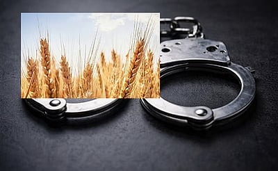 ரூ.100 கோதுமை திருட்டு: 45 ஆண்டுகளுக்குப் பிறகு ம.பி.யைச் சேர்ந்த நபர் கைது  