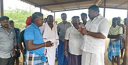 வெறிநாய் கடித்து 20 ஆடுகள் உயிரிழப்பு