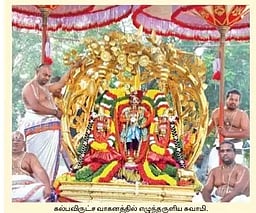 கல்பவிருட்ச வாகனத்தில் ராஜமன்னாா் அலங்காரத்தில் புறப்பாடு