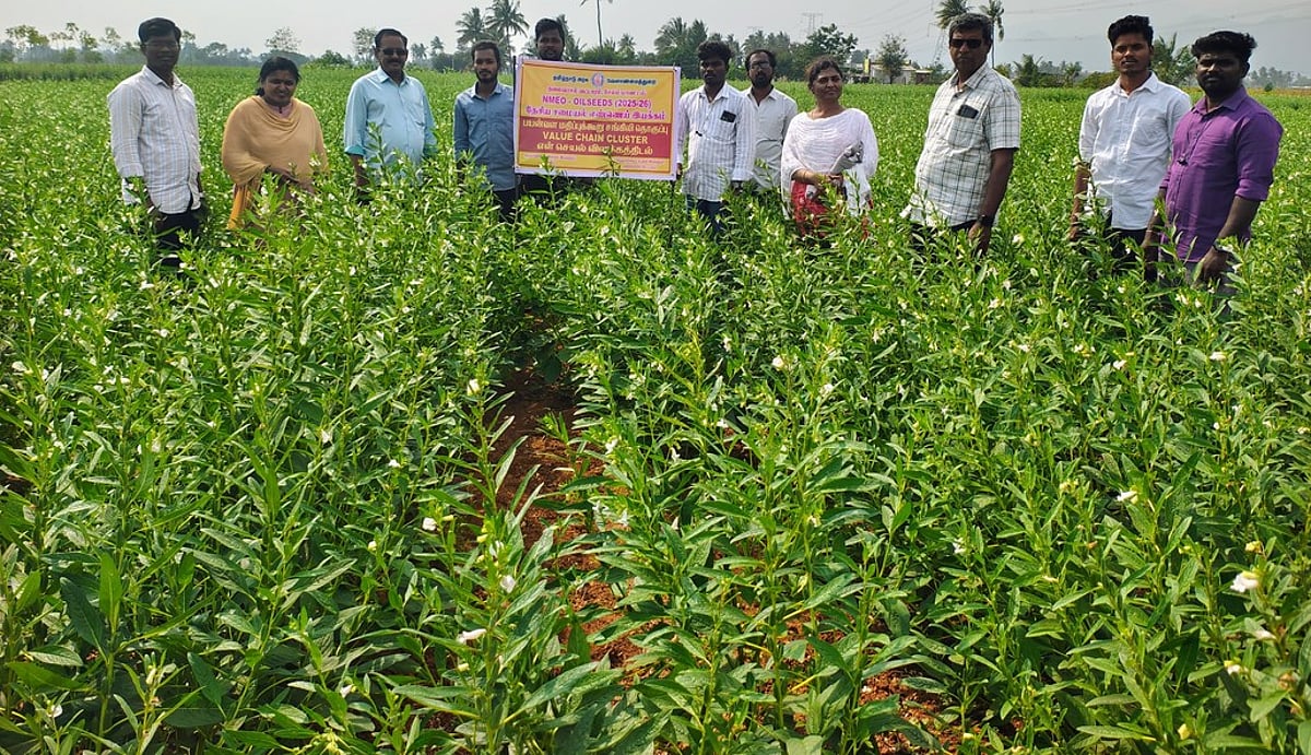 தலைவாசல் வட்டத்தில்
வேளாண்மை துணை இயக்குநா் ஆய்வு