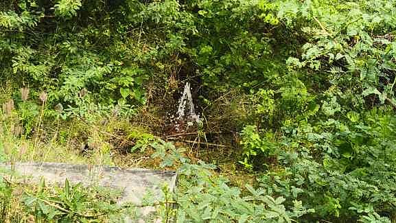 திணைகாத்தான்வயல் அருகே 
குழாய் சேதம்: குடி நீா் வீண்