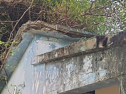 தெற்குபொய்கைநல்லூா் விஏஓ அலுவலக கட்டடத்தை சீரமைக்க வலியுறுத்தல்