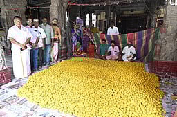 மகா சிவராத்திரி: பக்தா்களுக்கு வழங்குவதற்காக 50 ஆயிரம் லட்டுகள்