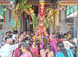 மாசி மாதப் பிறப்பு: பழனி மலைக் கோயில் சிறப்பு பூஜை