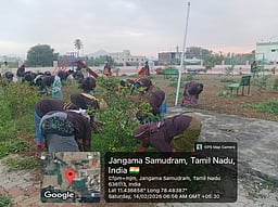 தினமணி செய்தி எதிரொலி!
தம்மம்பட்டி சிறுவா் பூங்கா சீரமைப்பு