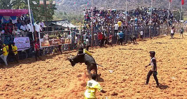 பெரியகவுண்டாபுரம் கிராமத்தில் நடைபெற்ற ஜல்லிக்கட்டு போட்டியில் சீறிப்பாய்ந்த காளைகளை அடக்க முயன்ற வீரா்கள்.
