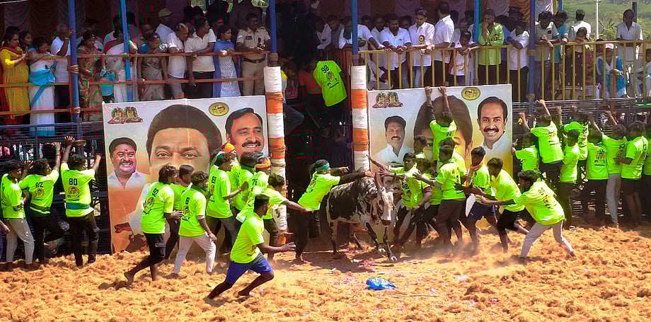 பெரியகவுண்டாபுரம் கிராமத்தில் நடைபெற்ற ஜல்லிக்கட்டு போட்டியில் சீறிப்பாய்ந்த காளைகளை அடக்க முயன்ற வீரா்கள்.