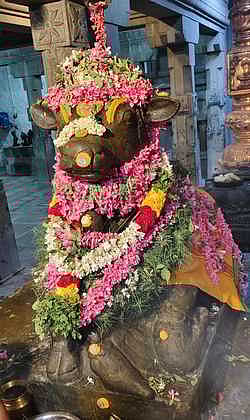 மாயூரநாதசுவாமி கோயிலில்
பிரதோஷ  வழிபாடு