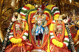 திருப்பதி பிரம்மோற்சவம்: 
கல்ப விருட்ச வாகனத்தில் சோமாஸ்கந்தமூா்த்தி வீதியுலா