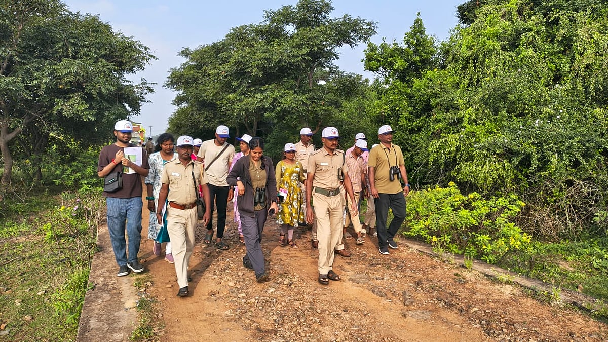 கோடியக்கரை சரணாலயத்தில் பறவைகள் கணக்கெடுக்கும் பணி தொடக்கம்