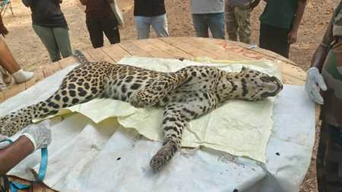 News image