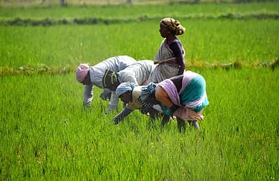 அங்கீகாரம் தேடும் பெண் விவசாயிகள்