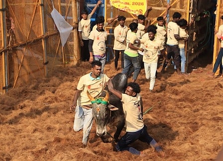 தவசிமடையில் ஜல்லிக்கட்டு: 27 போ் காயம்