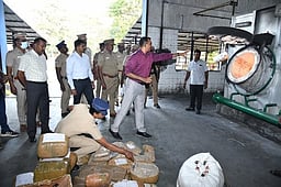 ரூ.5 கோடியில் 2,119 கிலோ கஞ்சா அழிப்பு