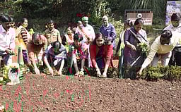 உதகை தாவரவியல் பூங்காவில் மலா் கண்காட்சிக்காக நாற்றுகள் நடவுப் பணி தொடக்கம்