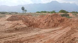 அரசுக்குச் சொந்தமான புறம்போக்கு நிலங்களில் மணல் கொள்ளையைத் தடுக்கக் கோரிக்கை