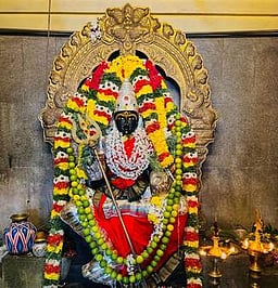 வி.மருதூா் கோயிலில் அமாவாசை வழிபாடு