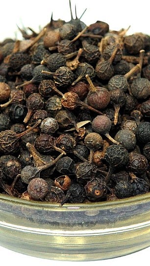 வால் மிளகு பற்றி தெரியுமா?