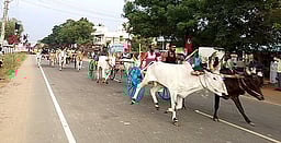 இரட்டை மாட்டு வண்டிப் பந்தயம்