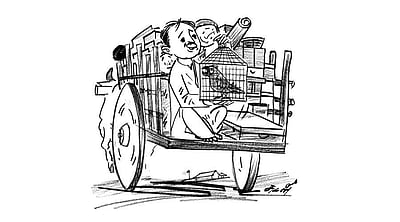 நீதிக் கதைகள்! முகவரி கேட்கும் கிளி!