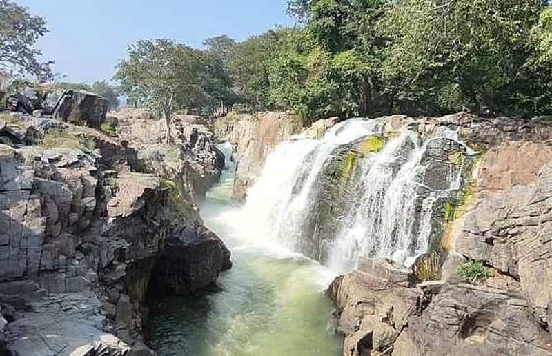 Water inflow to Hogenakkal increases to 8,000 cubic feet...