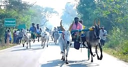 மதகுபட்டி அருகே மாட்டு வண்டிப் பந்தயம்