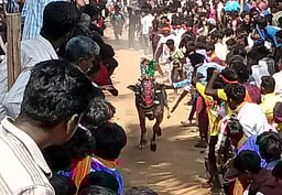 சான்றோா்குப்பத்தில் எருது விடும் திருவிழா