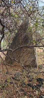 வீரயுக கால நடுகல் கண்டுபிடிப்பு!