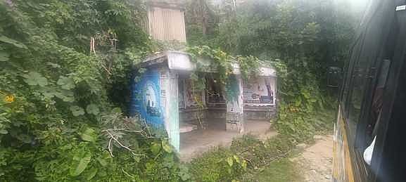 கொடைக்கானல் பகுதிகளில் நிழல் குடைகளை சீரமைக்க வலியுறுத்தல்