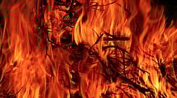 ஃபரீதாபாத் தொழில்சாலை தீ விபத்து சம்பவம்: காயமடைந்த இருவா் உயிரிழப்பு