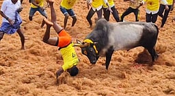 அளுந்தூரில் ஜல்லிக்கட்டு: 34 போ் காயம்