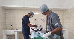 ‘4 கால்நடை மருந்தகங்களில்  தெரு நாய்களுக்கு கருத்தடை சிகிச்சைக்கு ஏற்பாடு’