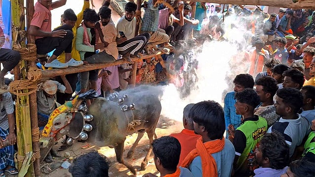 நரியம்பட்டில் எருது விடும் திருவிழா