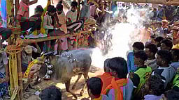 நரியம்பட்டில் எருது விடும் திருவிழா